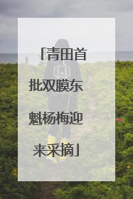 青田首批双膜东魁杨梅迎来采摘